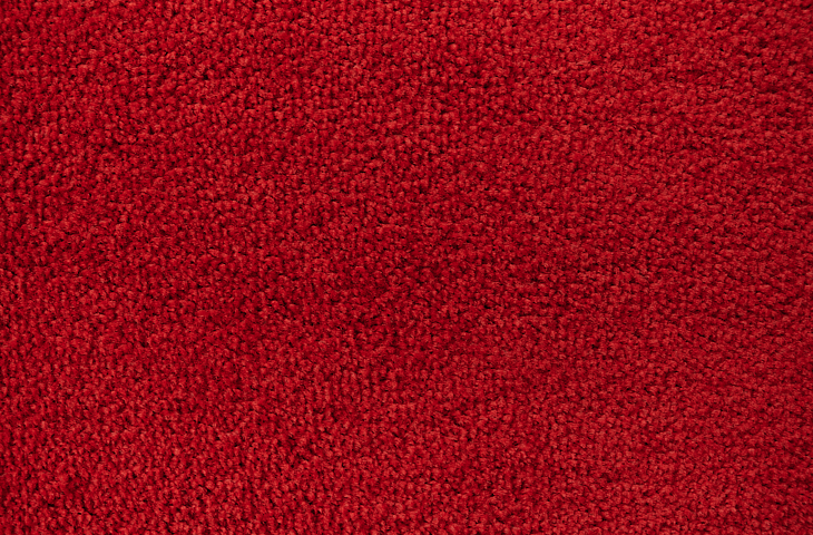 DSC_0231 (1).png